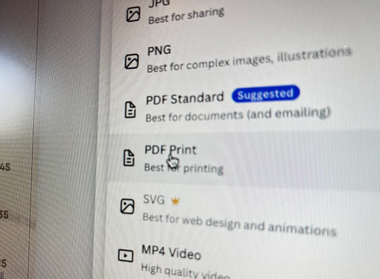 On a canvas-print-ready screen, a file export menu offers options such as JPG, PNG, PDF Standard (suggested), PDF Print (selected), SVG, and MP4 Video.