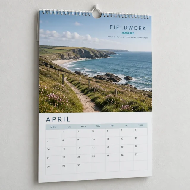 White-wire wall calendar with a hanging loop and an illustrative coastal design